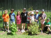 Hummelhaus_09 Hummelhaus_09