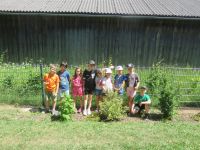 Hummelhaus_10 Hummelhaus_10