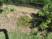 Hummelhaus_11 Hummelhaus_11