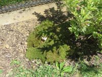 Hummelhaus_12 Hummelhaus_12